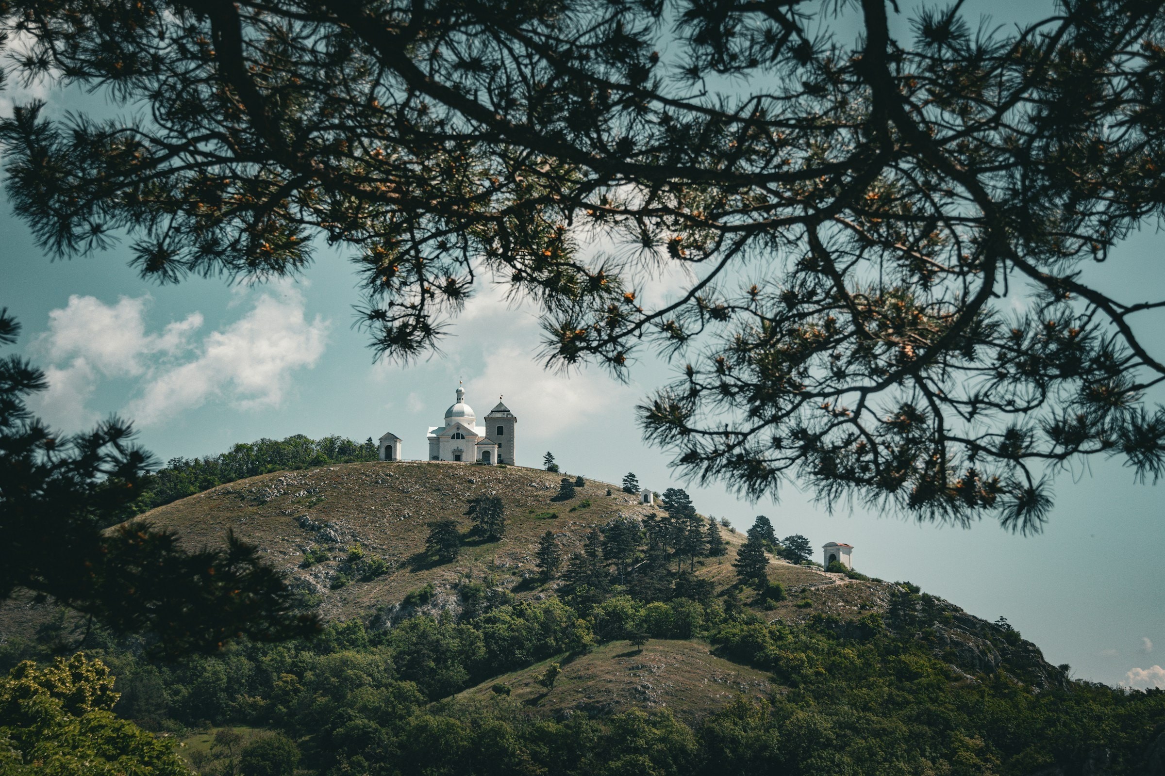 Der Heilige Berg mit der Kapelle des hl. Sebastian zwischen Kiefern